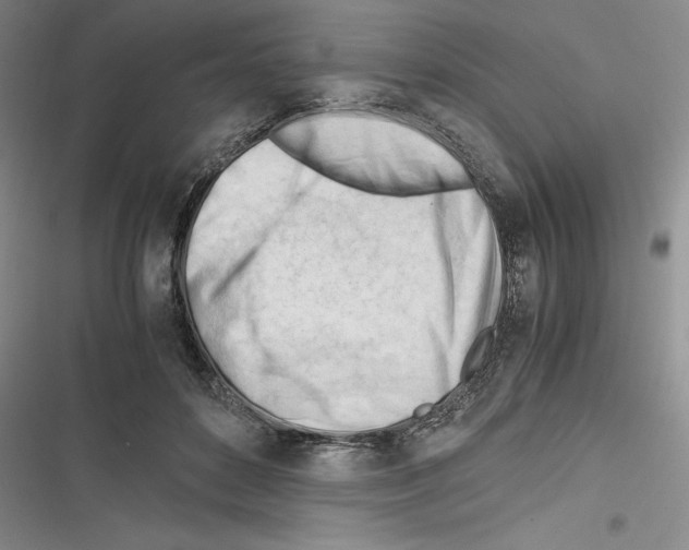 X0000116270504201001111017