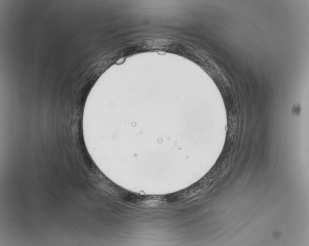 X0000116270505201001111017
