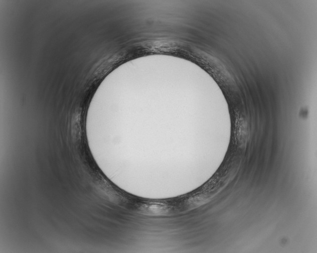 X0000116270506201001111017