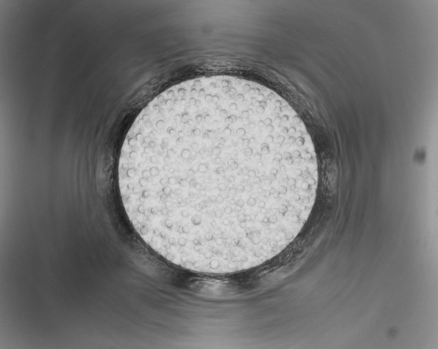 X0000116270507201001111017