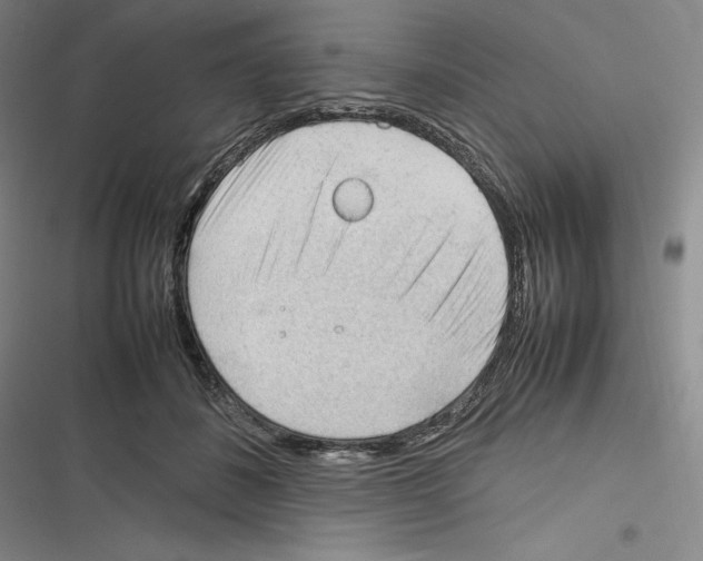 X0000116270508201001111017