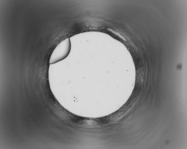 X0000116270509201001111017