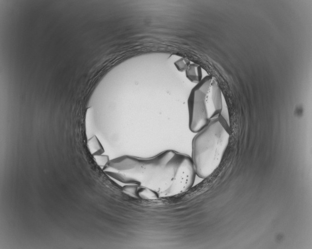 X0000116270513201001111017