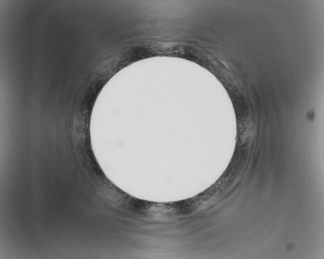 X0000116270515201001111017