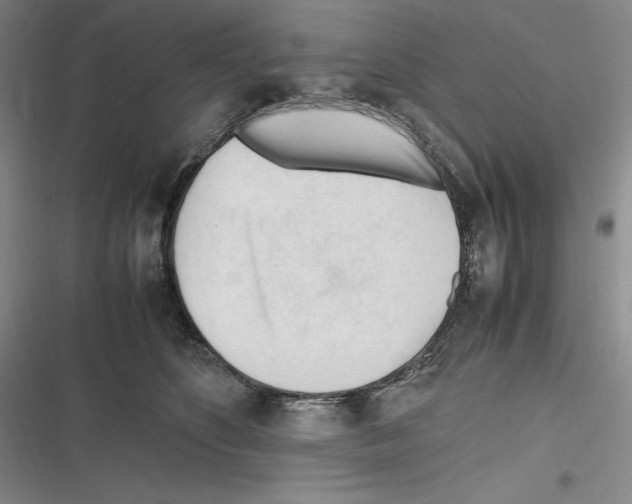 X0000116270516201001111017