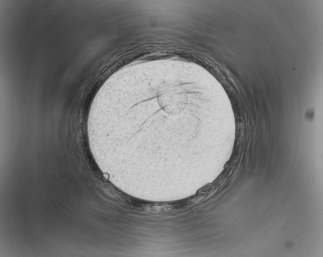 X0000116270517201001111017