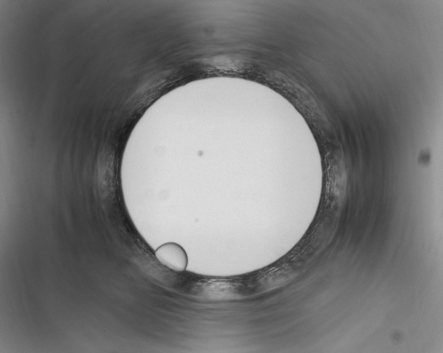 X0000116270518201001111017