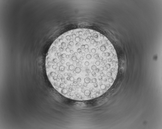 X0000116270519201001111017