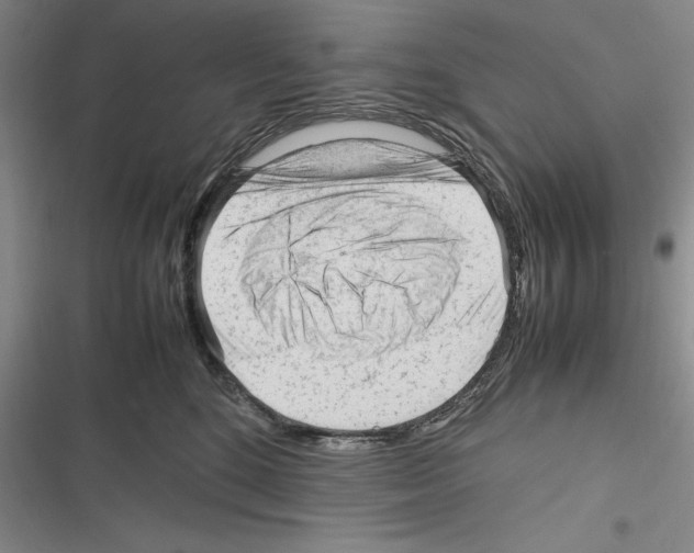 X0000116270520201001111017