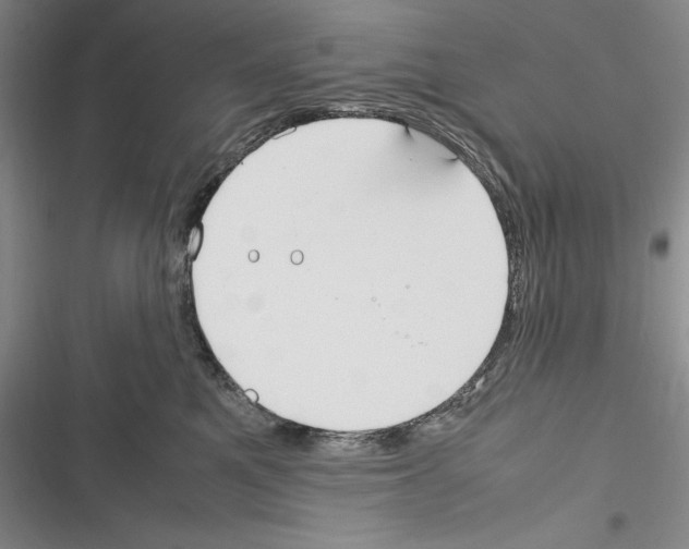 X0000116270521201001111017