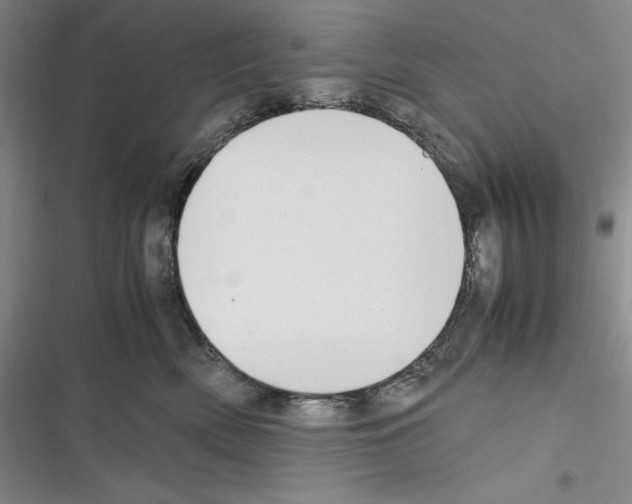 X0000116270522201001111017