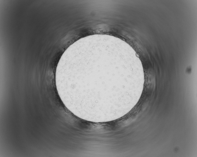 X0000116270523201001111017