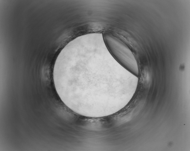X0000116270524201001111017