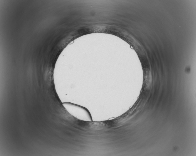 X0000116270525201001111017