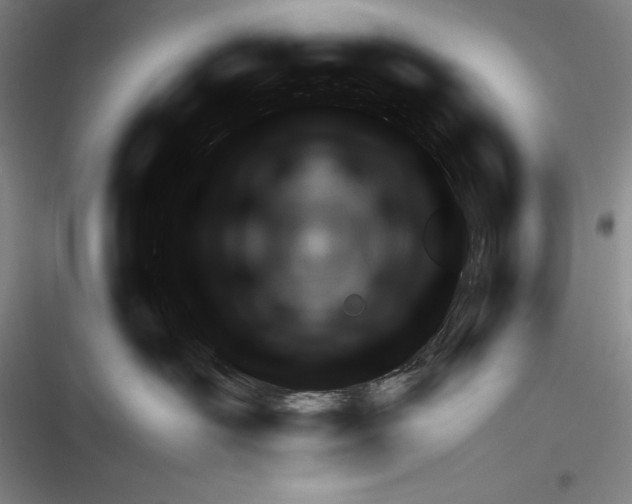 X0000116270526201001111017