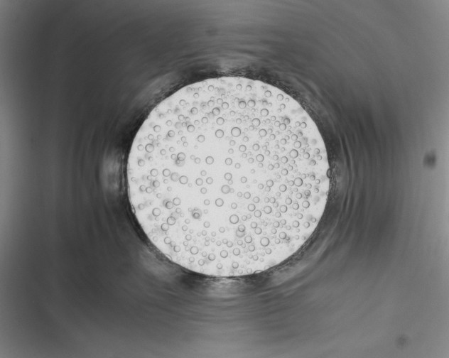 X0000116270527201001111017