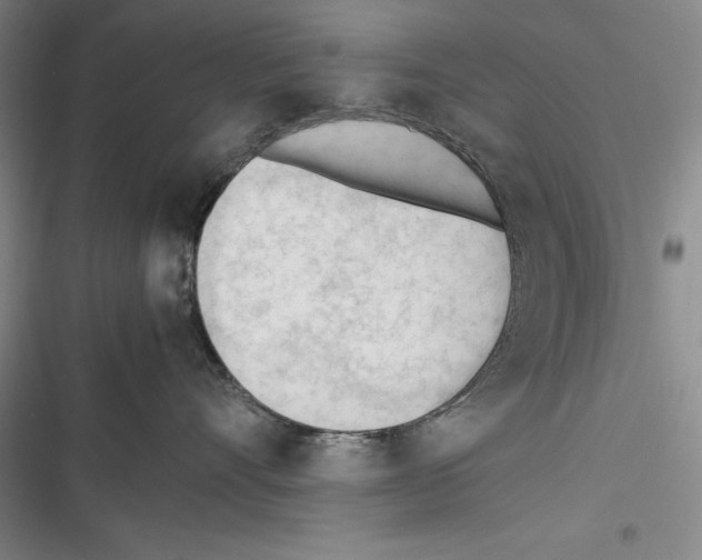 X0000116270528201001111017