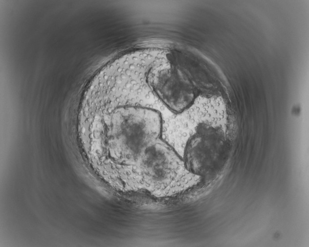 X0000116270529201001111016