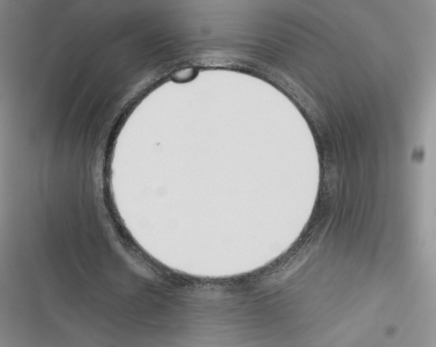 X0000116270530201001111016