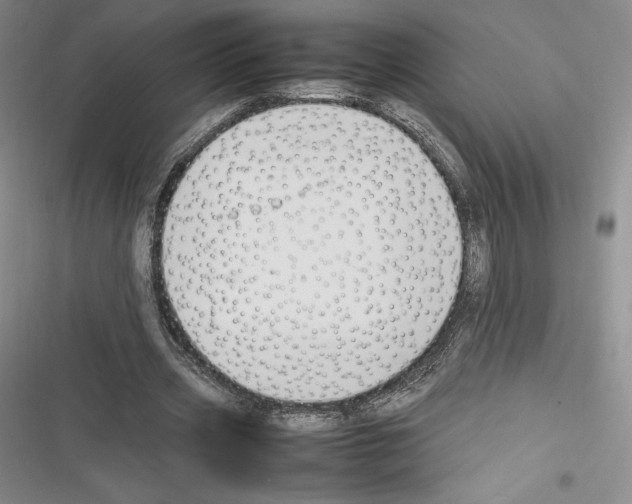 X0000116270533201001111016