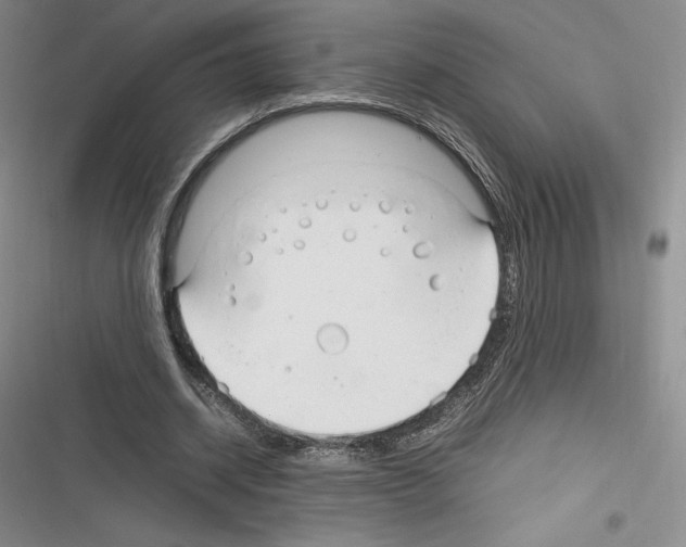 X0000116270534201001111016