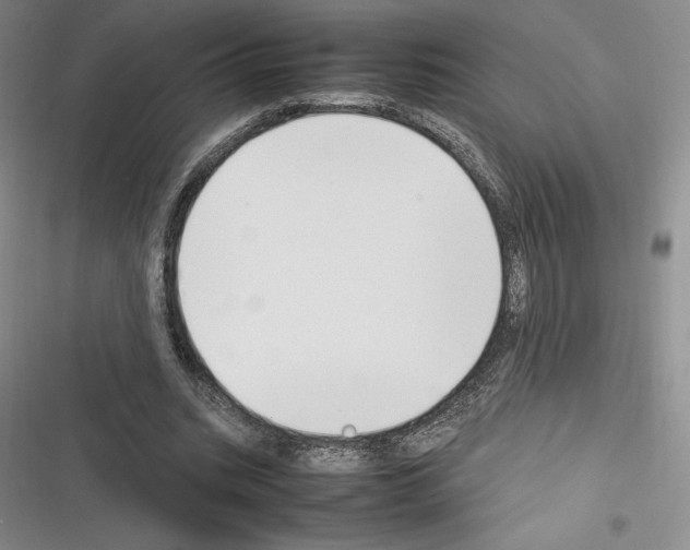 X0000116270535201001111016