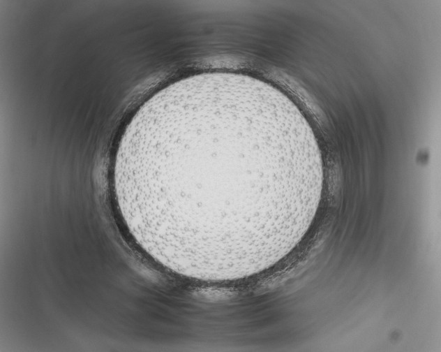 X0000116270537201001111016