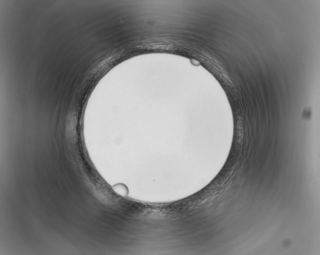 X0000116270538201001111016
