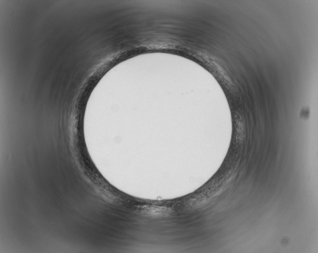 X0000116270539201001111016