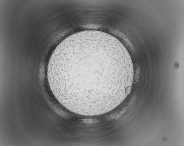 X0000116270541201001111016
