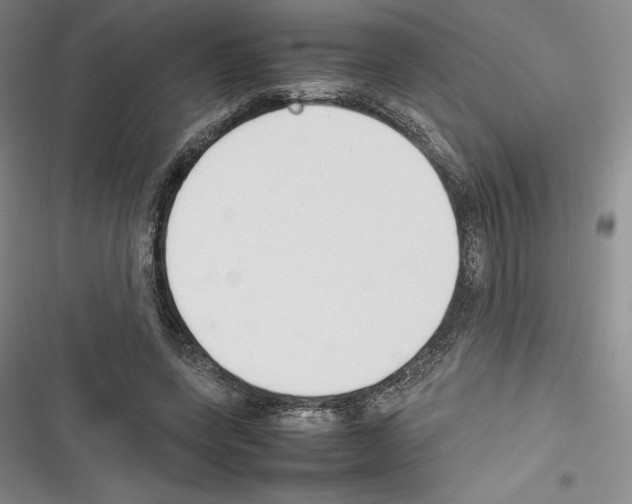 X0000116270543201001111016