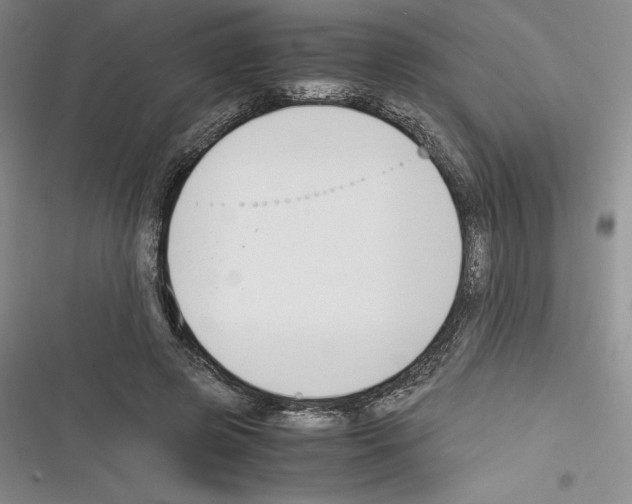 X0000116270545201001111016