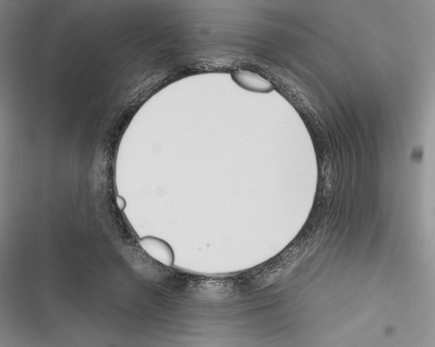 X0000116270546201001111016