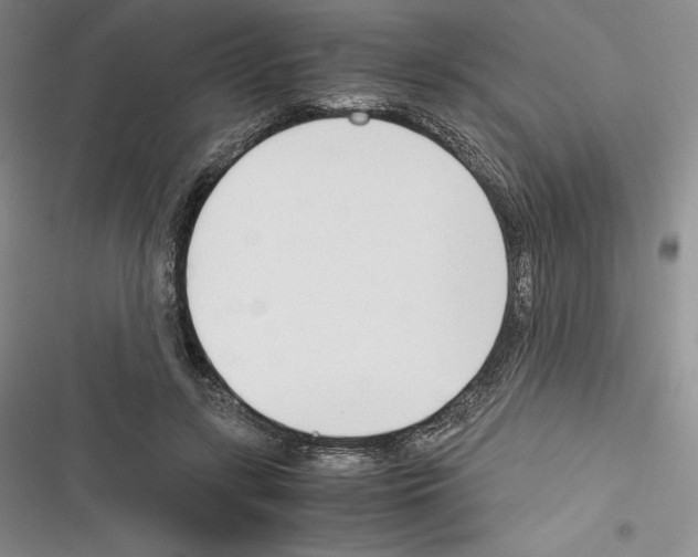 X0000116270547201001111016