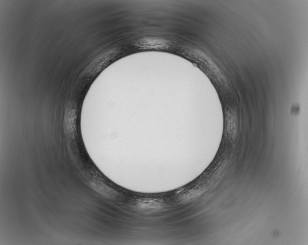 X0000116270549201001111016