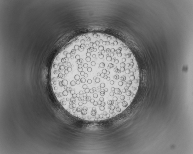 X0000116270550201001111016