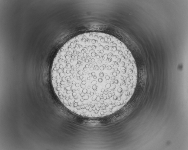 X0000116270554201001111016