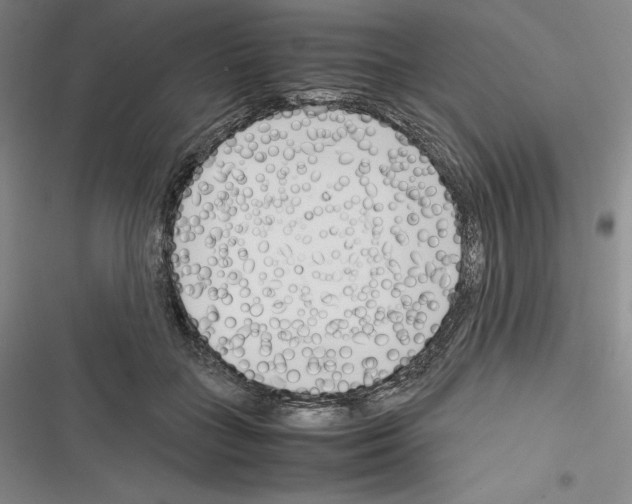 X0000116270555201001111016