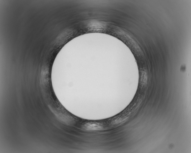X0000116270557201001111017