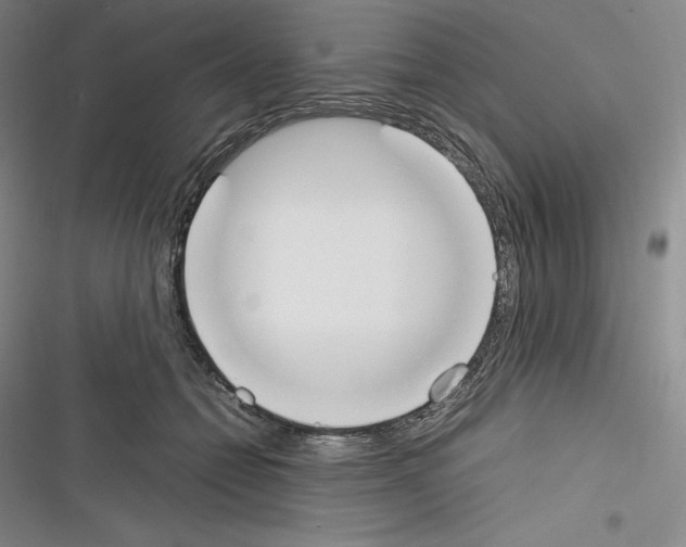 X0000116270558201001111017