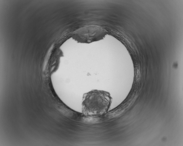 X0000116270561201001111017