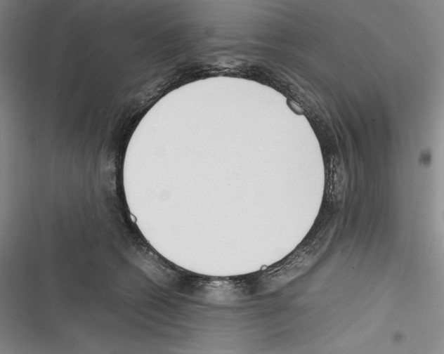 X0000116270562201001111017