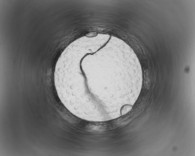 X0000116270563201001111017