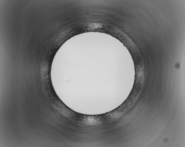 X0000116270565201001111017