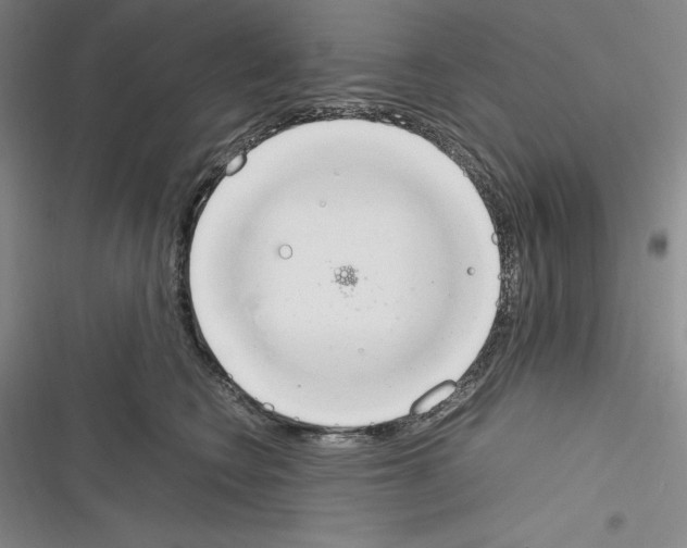X0000116270566201001111017