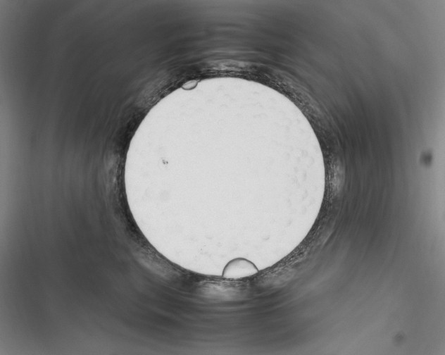 X0000116270567201001111017