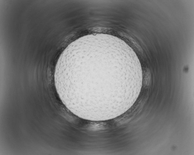 X0000116270569201001111017