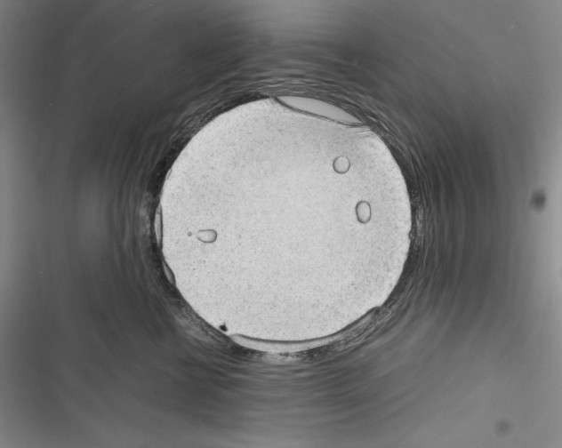 X0000116270570201001111017
