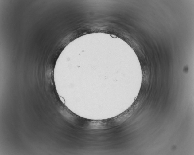 X0000116270574201001111017