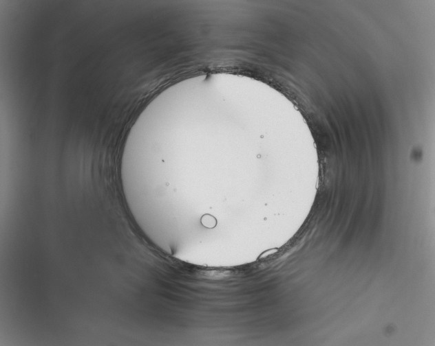 X0000116270575201001111017